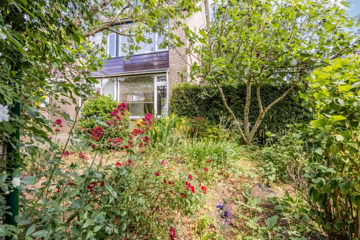 Foto 35 van Vinkeslag 4