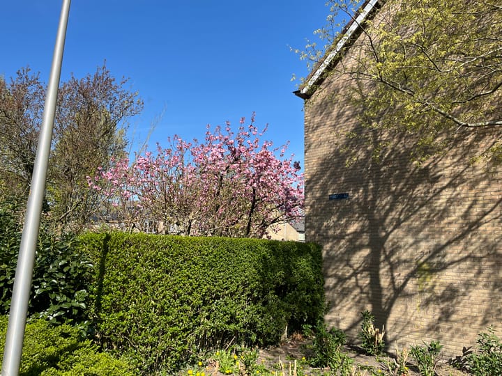 Foto 46 van Vinkeslag 4