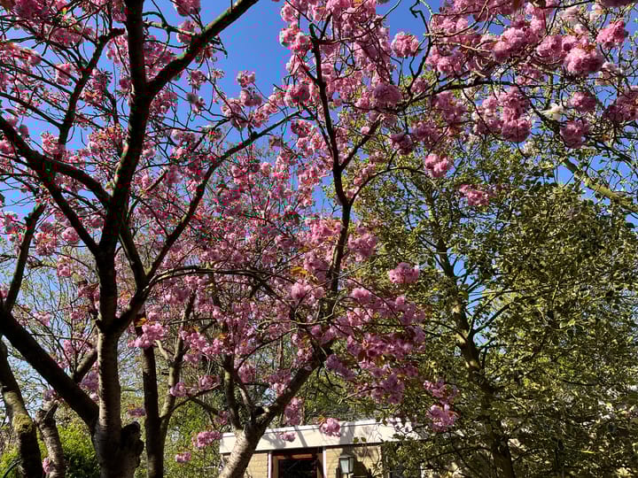 Foto 47 van Vinkeslag 4