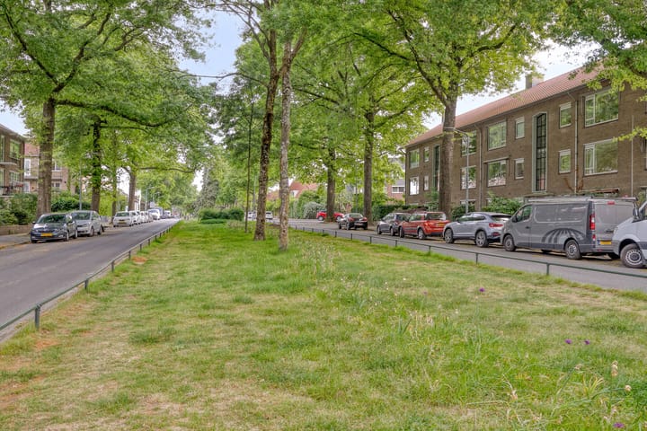 Foto 32 van Bosdrift 217