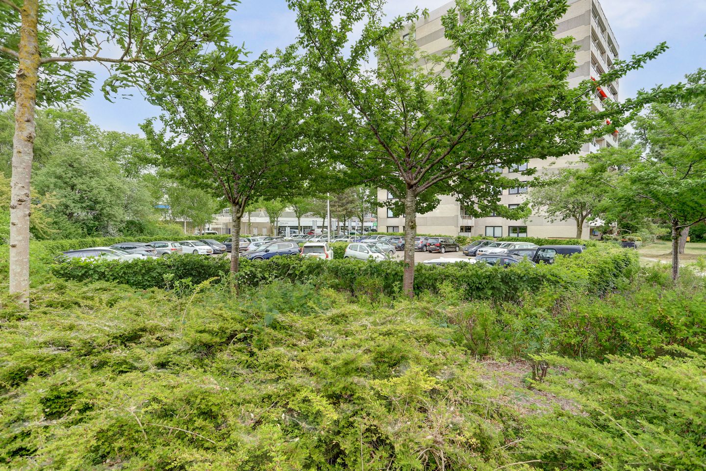 Foto 50 van Piet Heinlaan 89