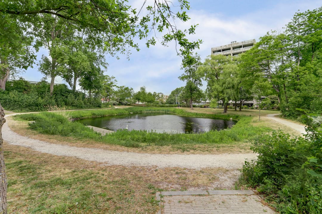 Foto 53 van Piet Heinlaan 89