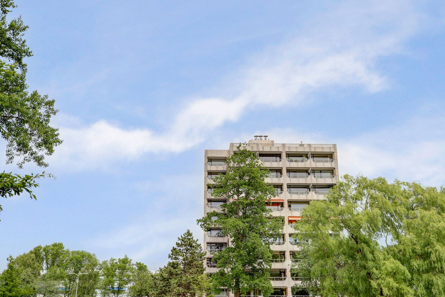 Foto 55 van Piet Heinlaan 89