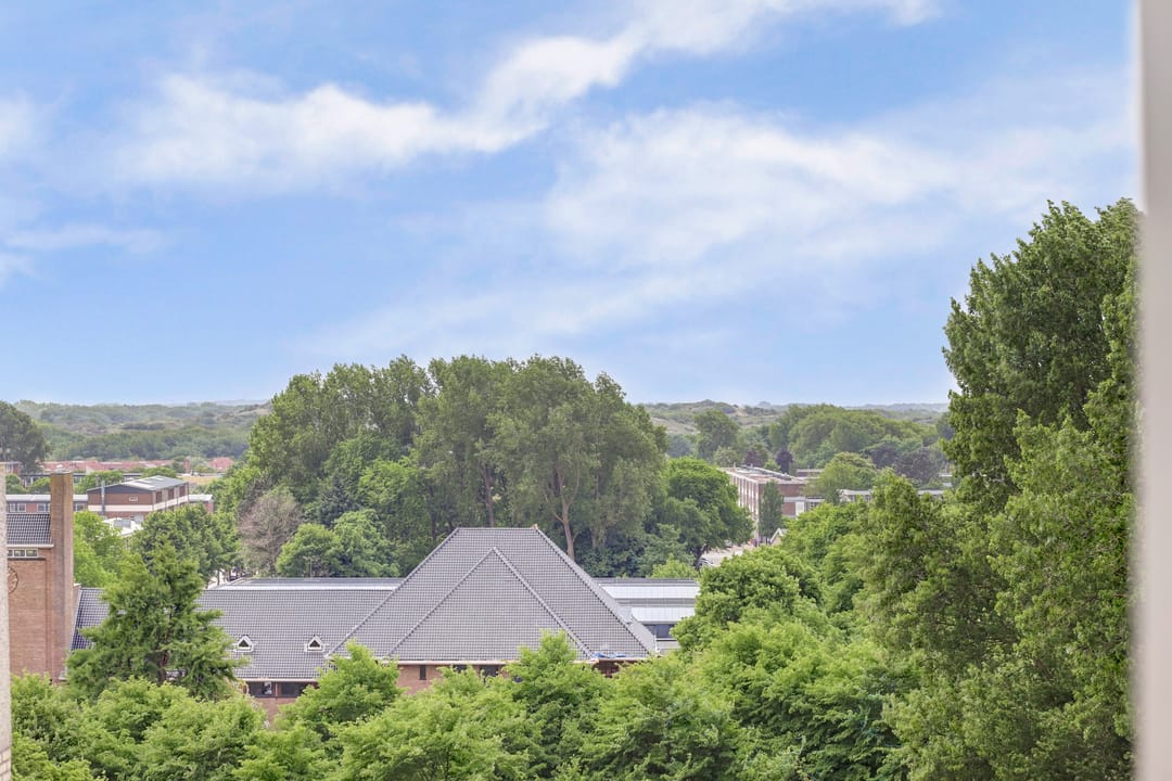 Foto 58 van Piet Heinlaan 89