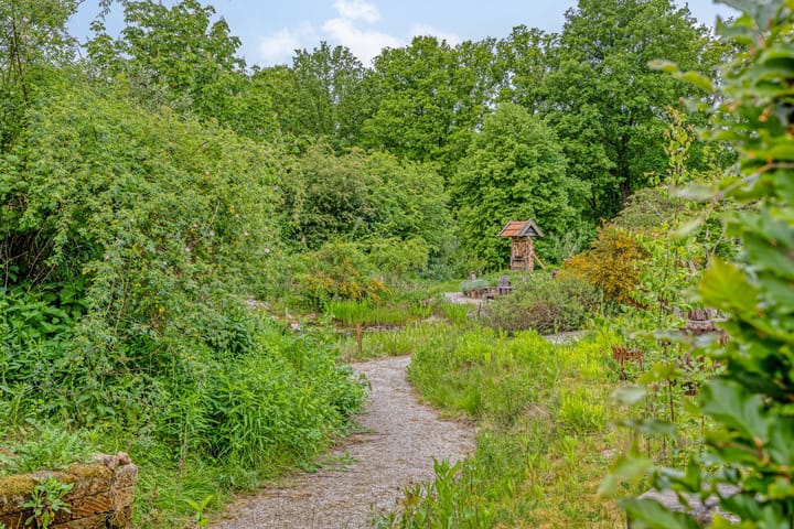 Foto 66 van Boterveen 13