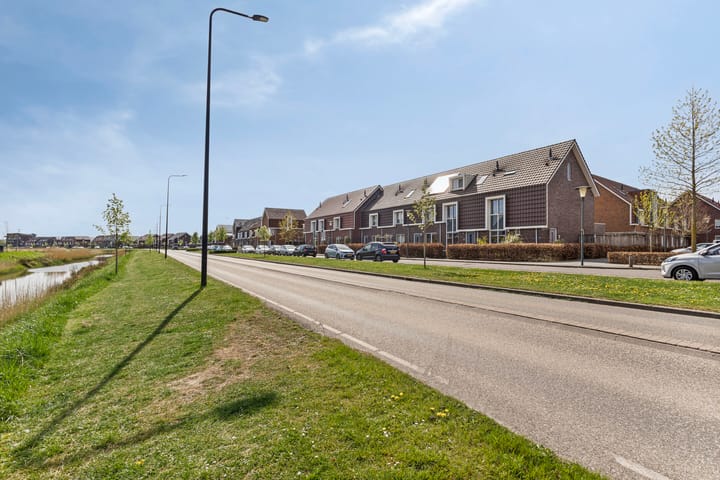 Foto 5 van Zwanenbloem 45