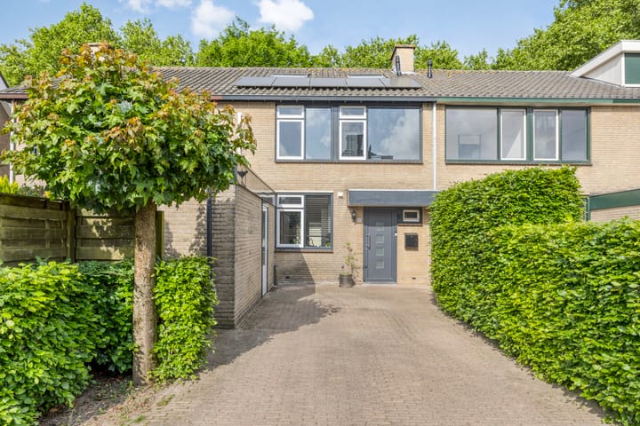 Foto 2 van Pavanestraat 118