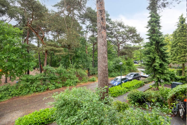 Foto 28 van Brederodestraat 7