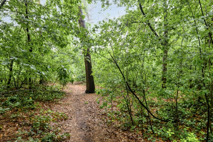 Foto 39 van Brederodestraat 7