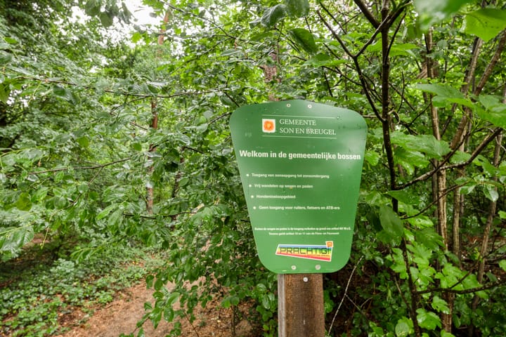 Foto 41 van Brederodestraat 7