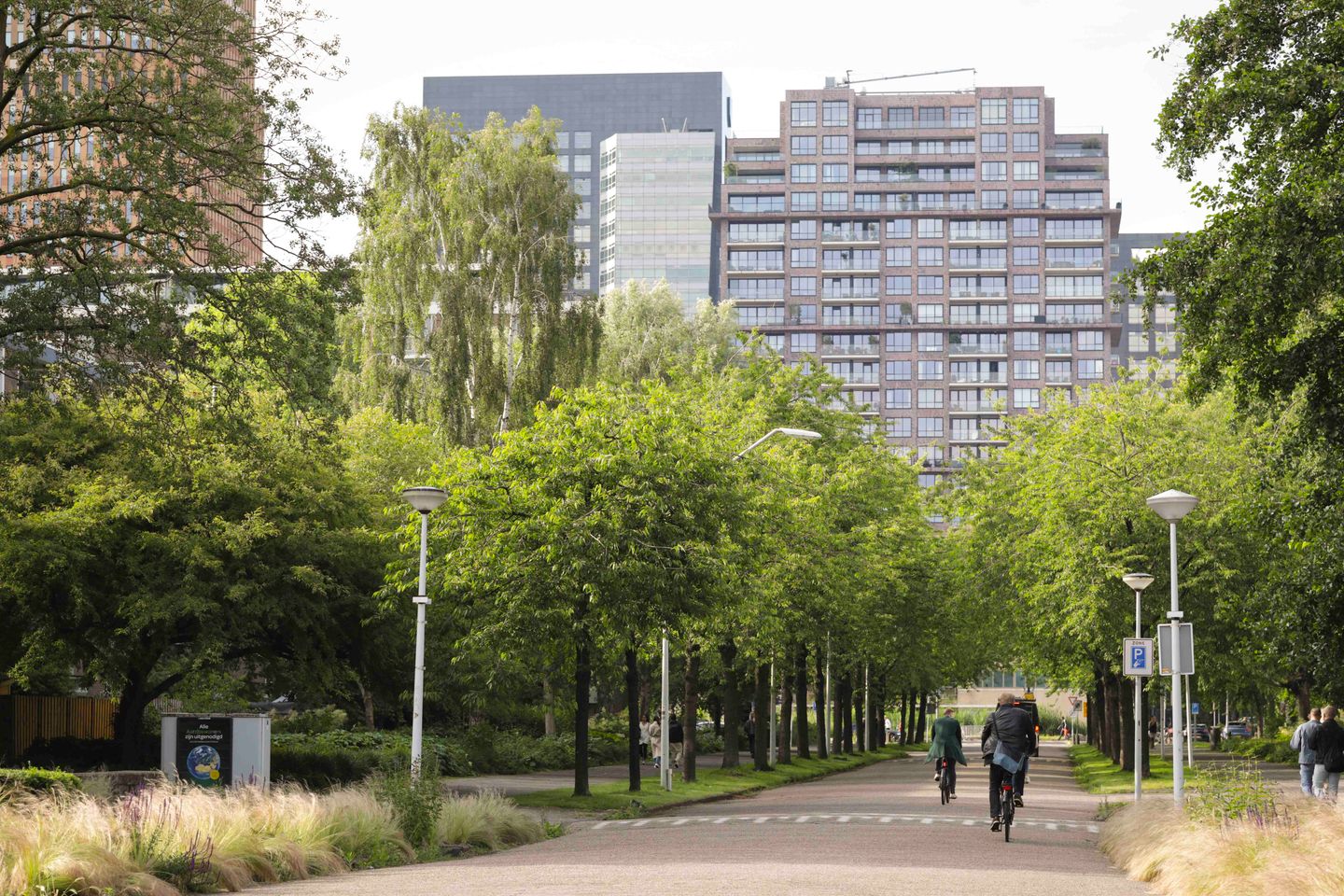 Foto 25 van Frieslandstraat 173