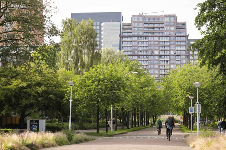 Foto 25 van Frieslandstraat 173