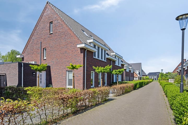 Foto 1 van Olievlas 11