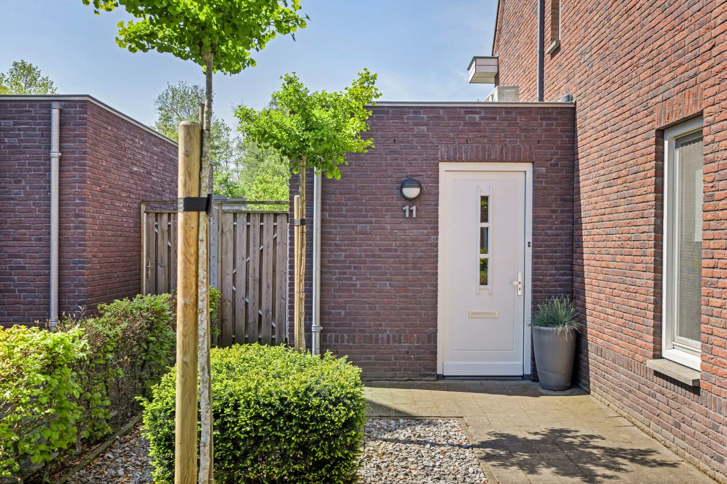 Foto 59 van Olievlas 11