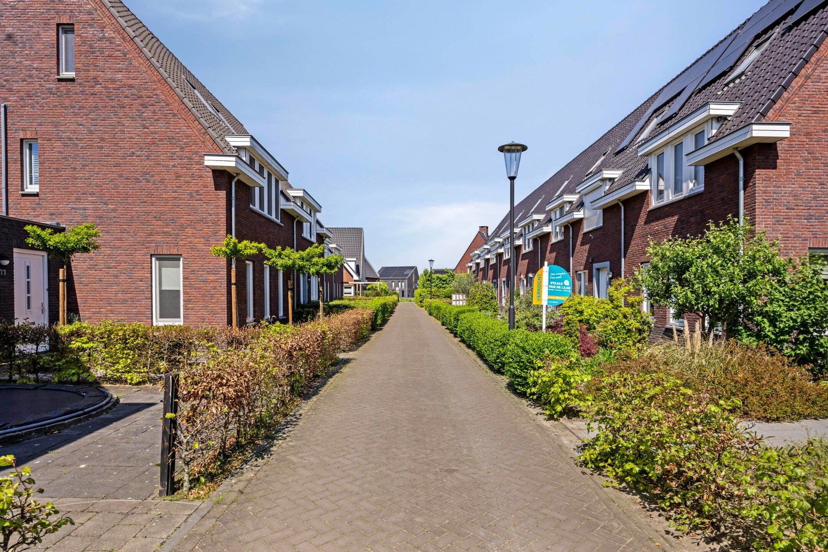 Foto 60 van Olievlas 11