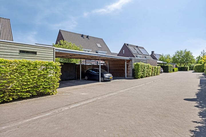 Foto 56 van Olievlas 11