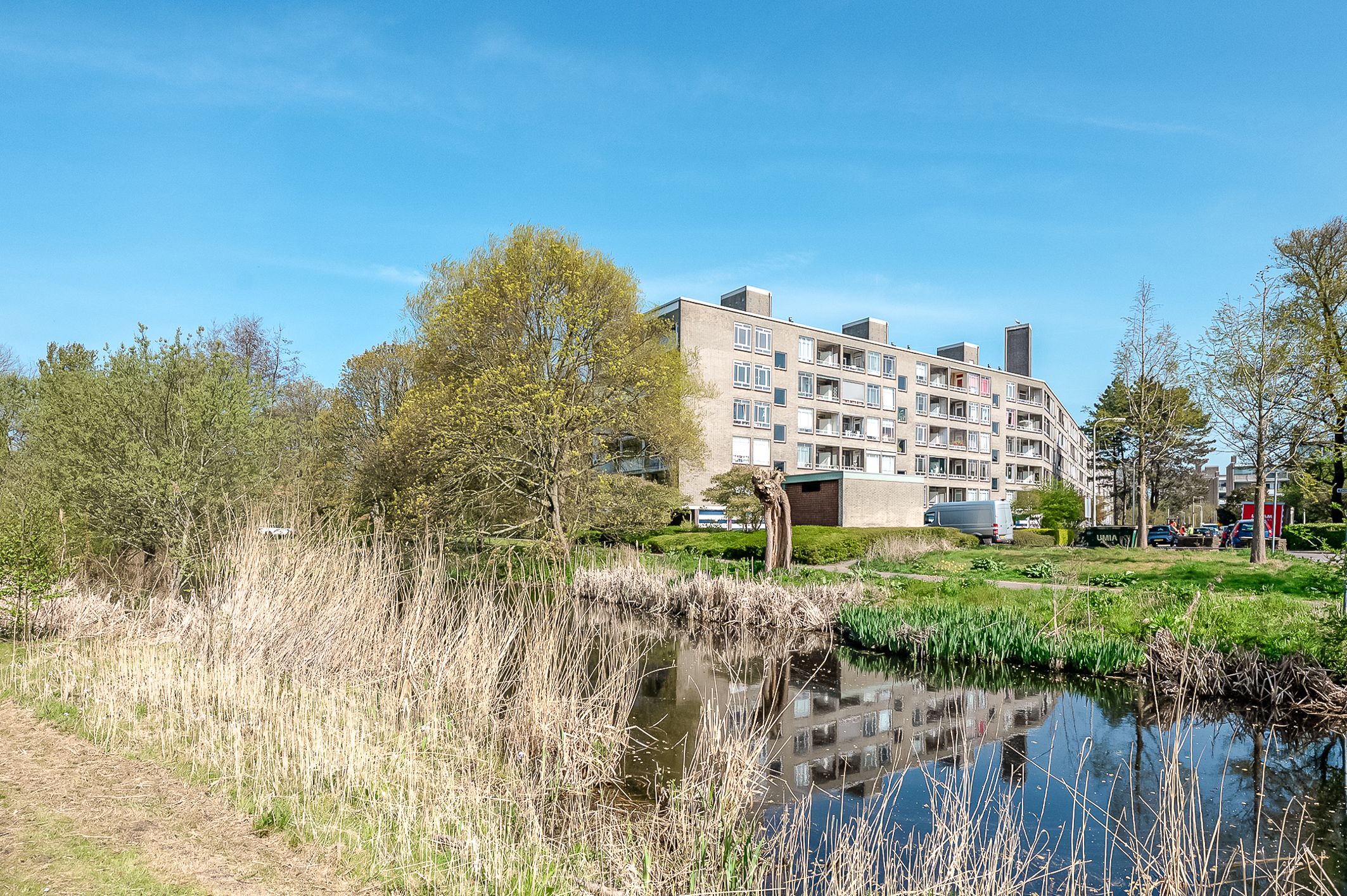 Foto 3 van Parelmoerhorst 14