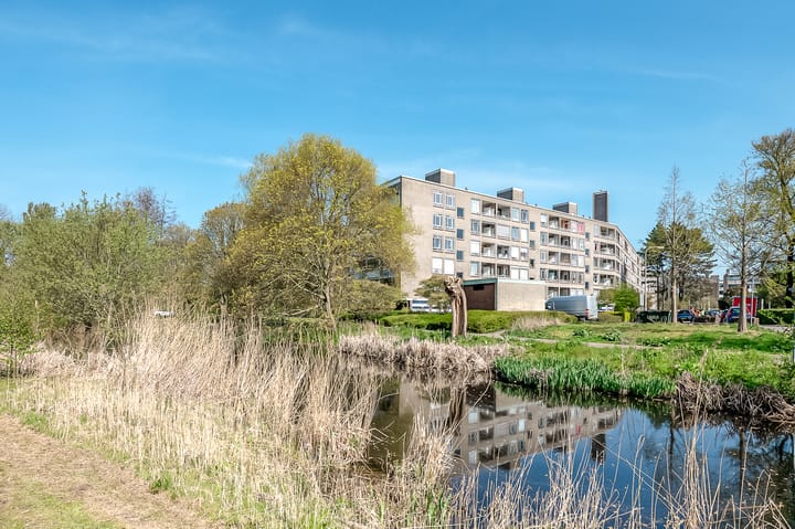 Foto 3 van Parelmoerhorst 14