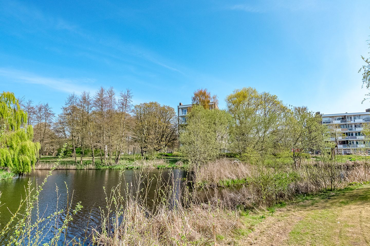 Foto 4 van Parelmoerhorst 14