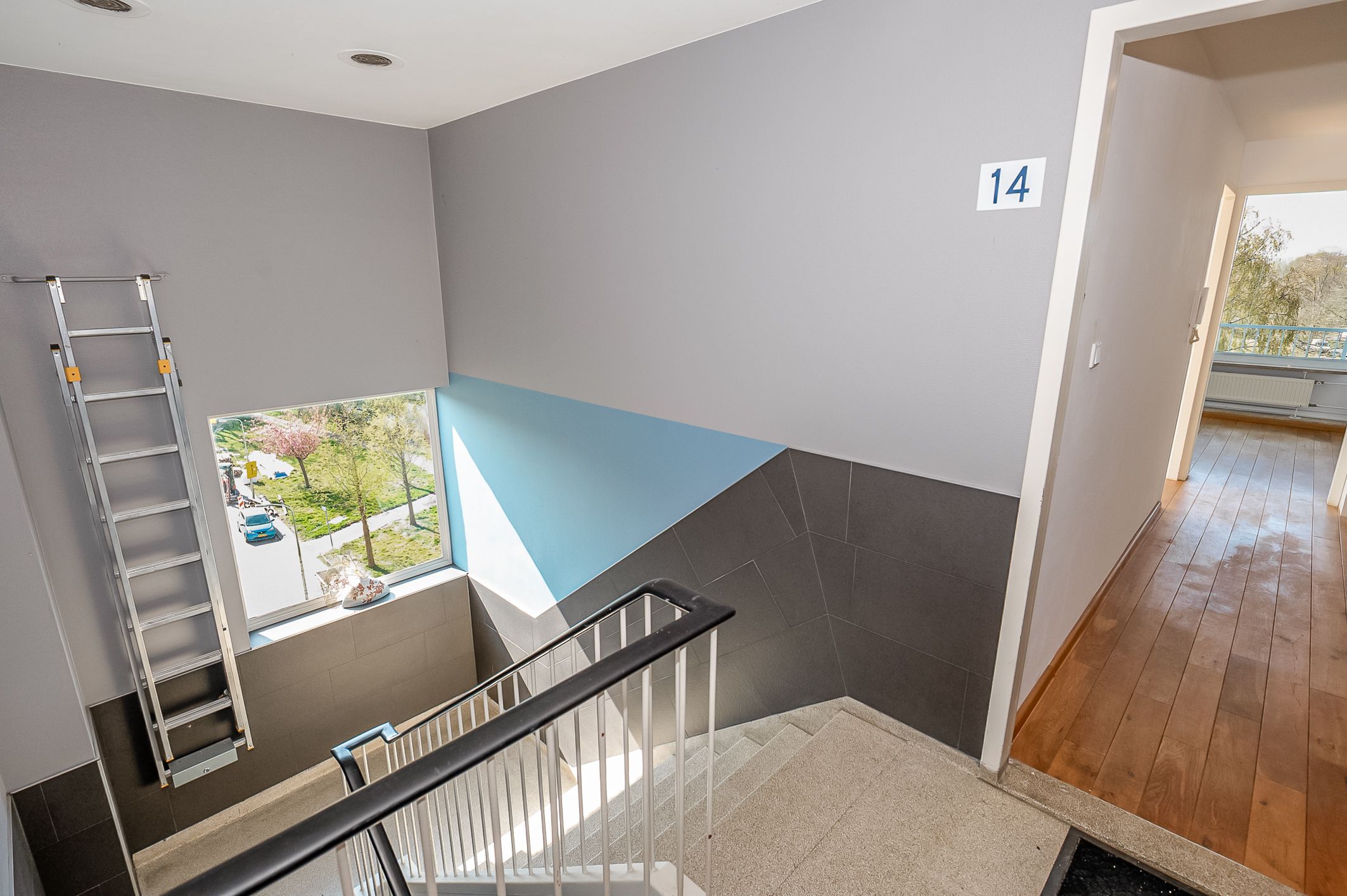 Foto 6 van Parelmoerhorst 14