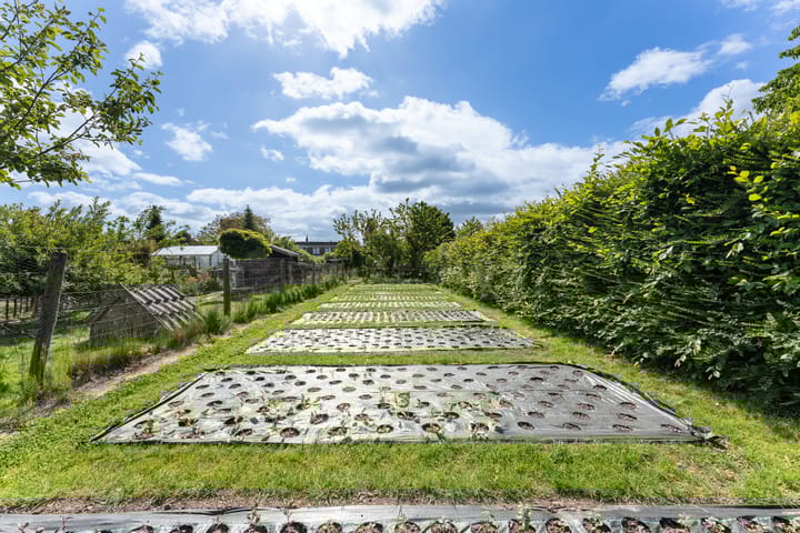 Foto 47 van Kerkweg 78