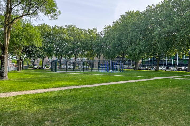 Foto 35 van Reinoud III-straat 13