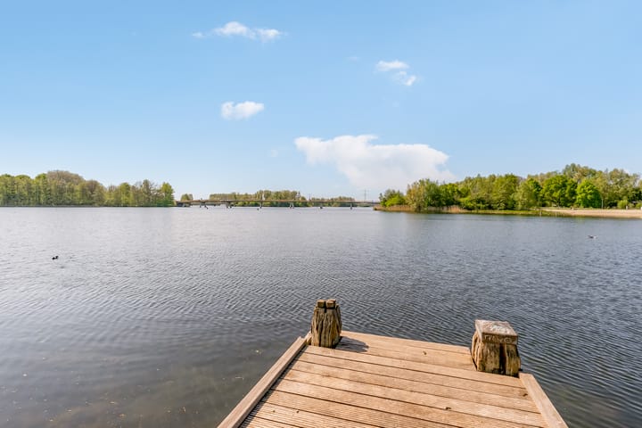 Foto 50 van Fellinilaan 144