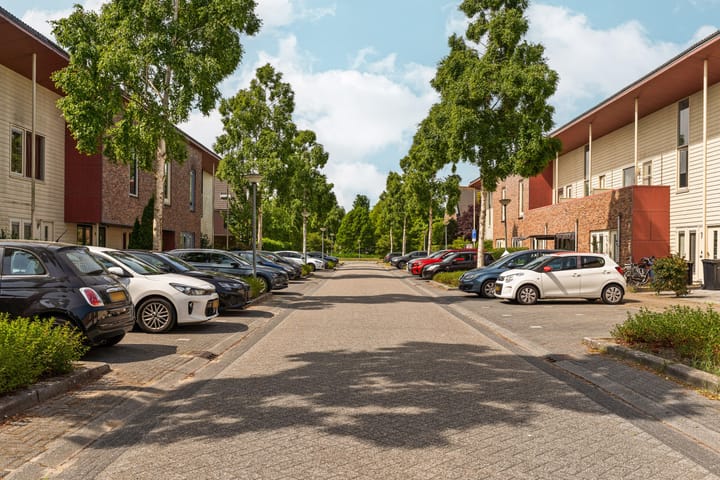 Photo 6 of Brancusistraat 22