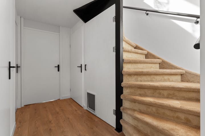 Photo 36 of Brancusistraat 22