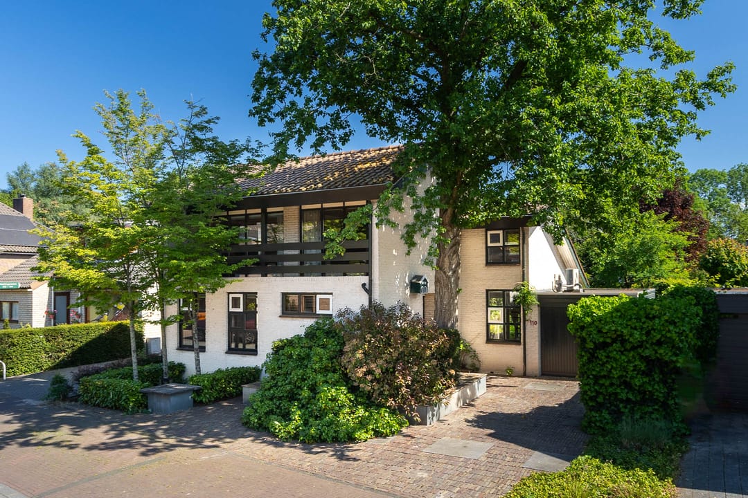 Foto 1 van Honingzwam 110