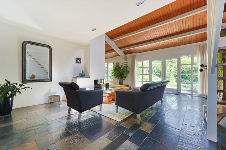 Foto 4 van Honingzwam 110