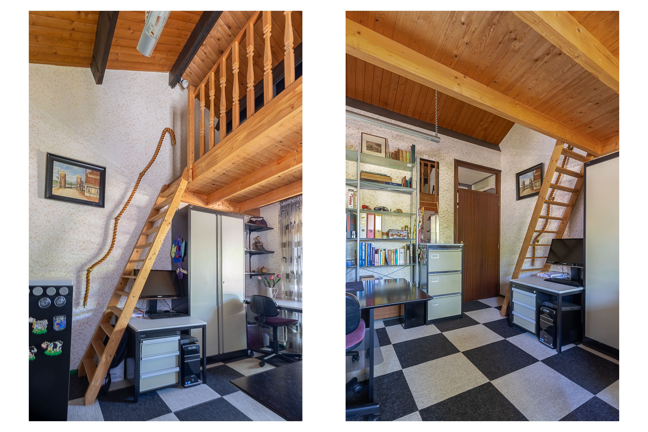 Foto 21 van Honingzwam 110