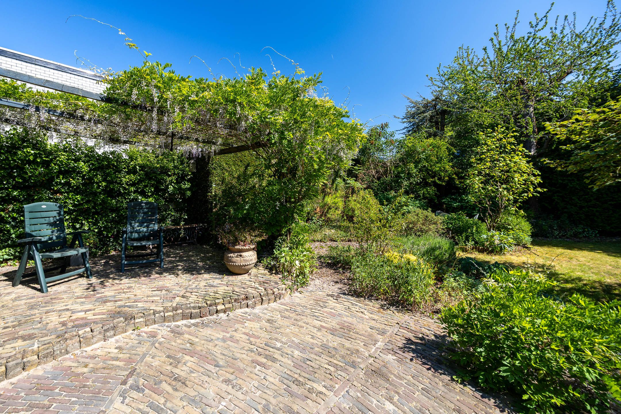 Foto 27 van Honingzwam 110