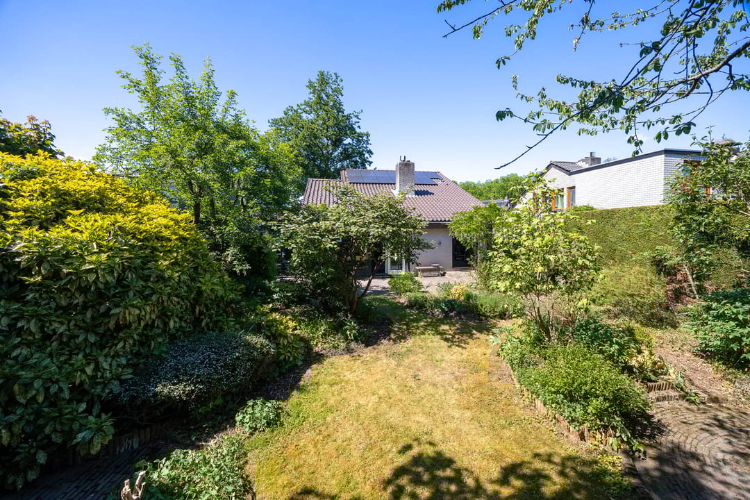 Foto 28 van Honingzwam 110