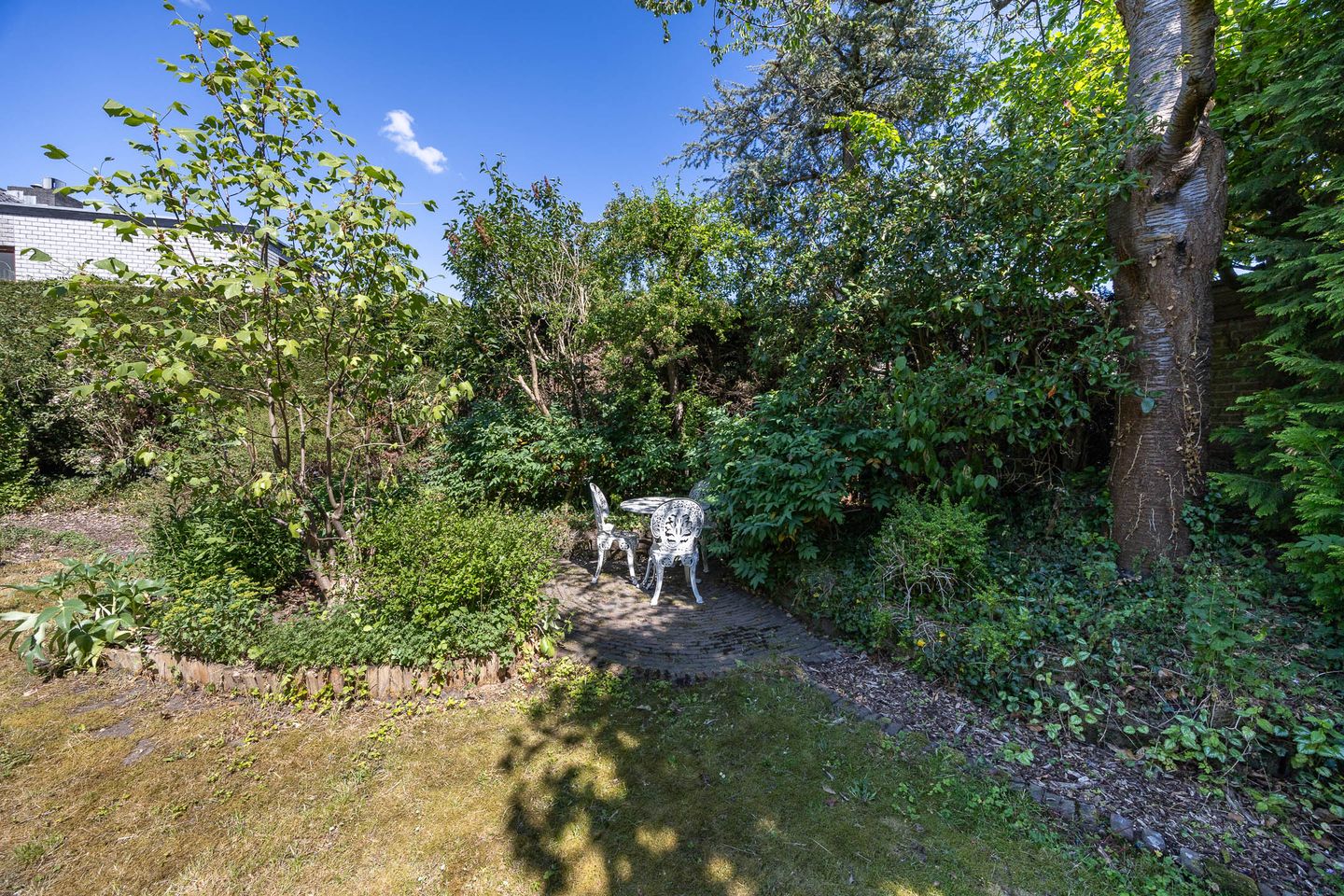 Foto 29 van Honingzwam 110