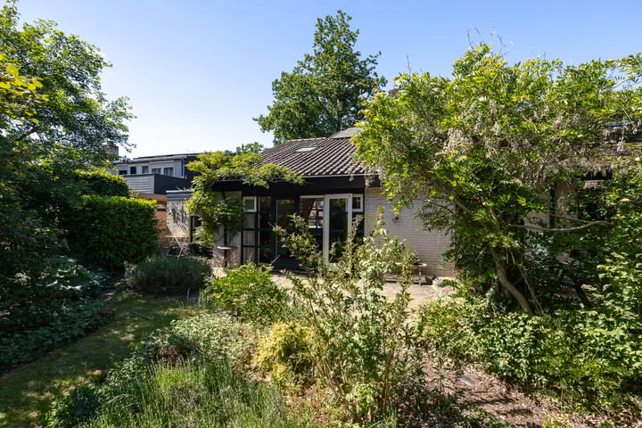 Foto 30 van Honingzwam 110