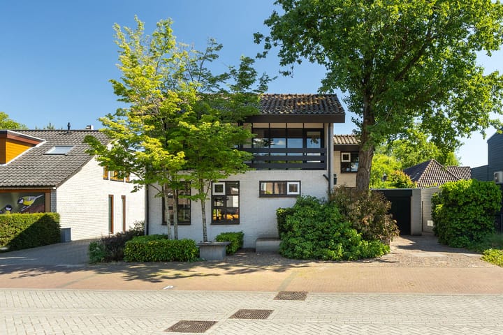 Foto 33 van Honingzwam 110