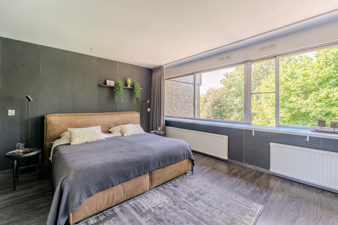 Photo 31 of Essex 19