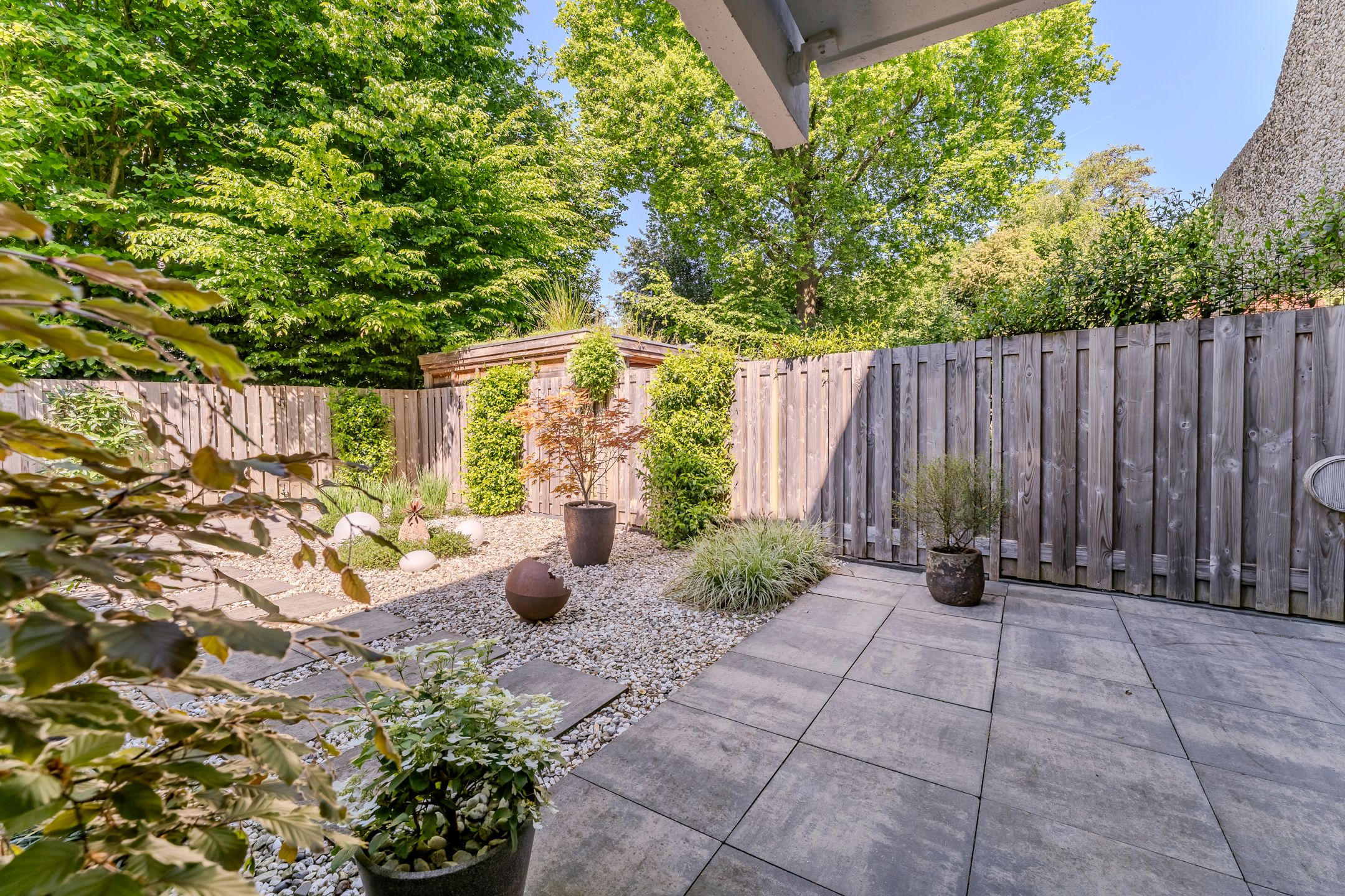 Photo 39 of Essex 19