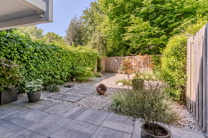 Foto 38 van Essex 19