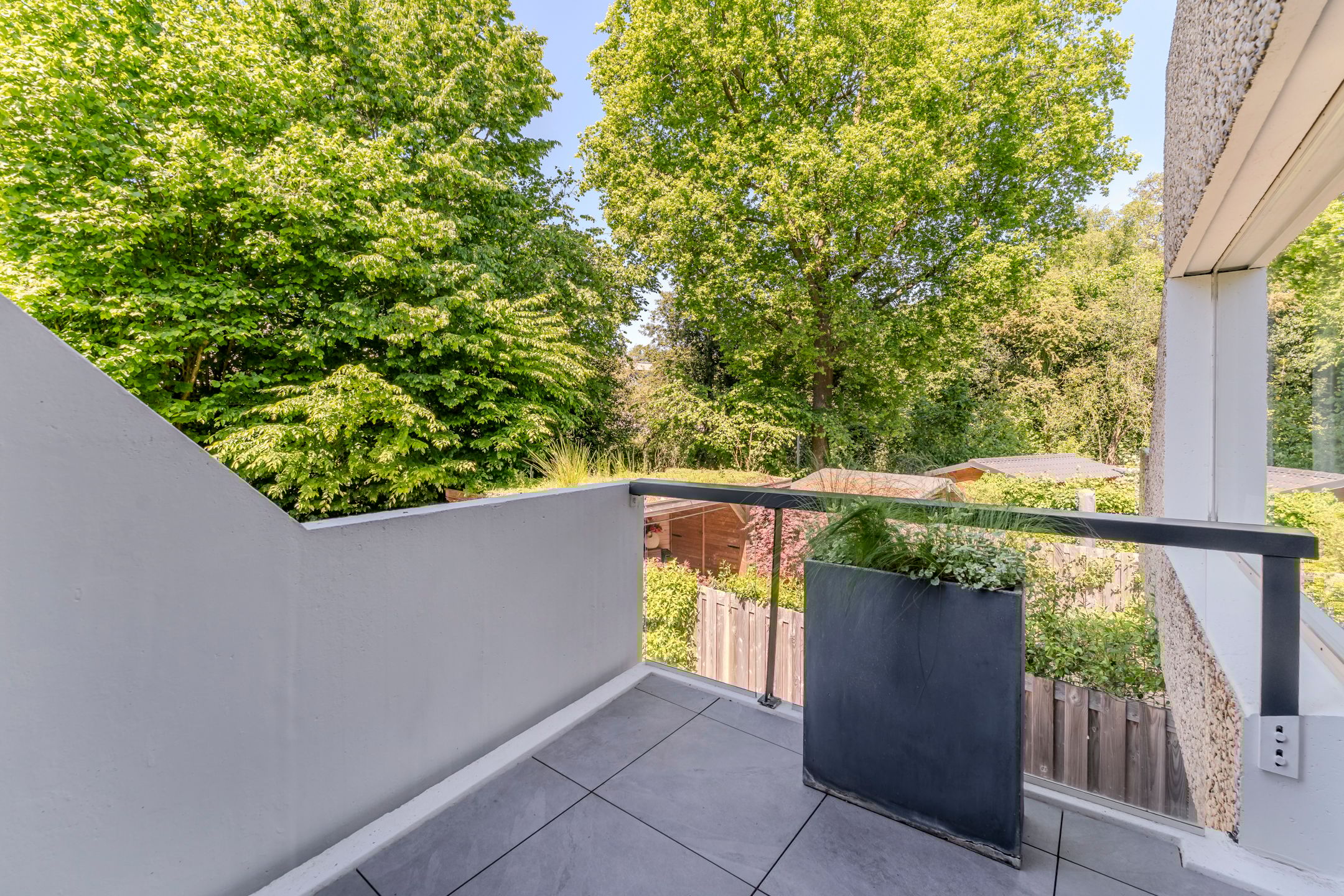 Photo 15 of Essex 19