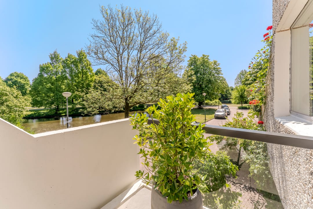 Photo 26 of Essex 19