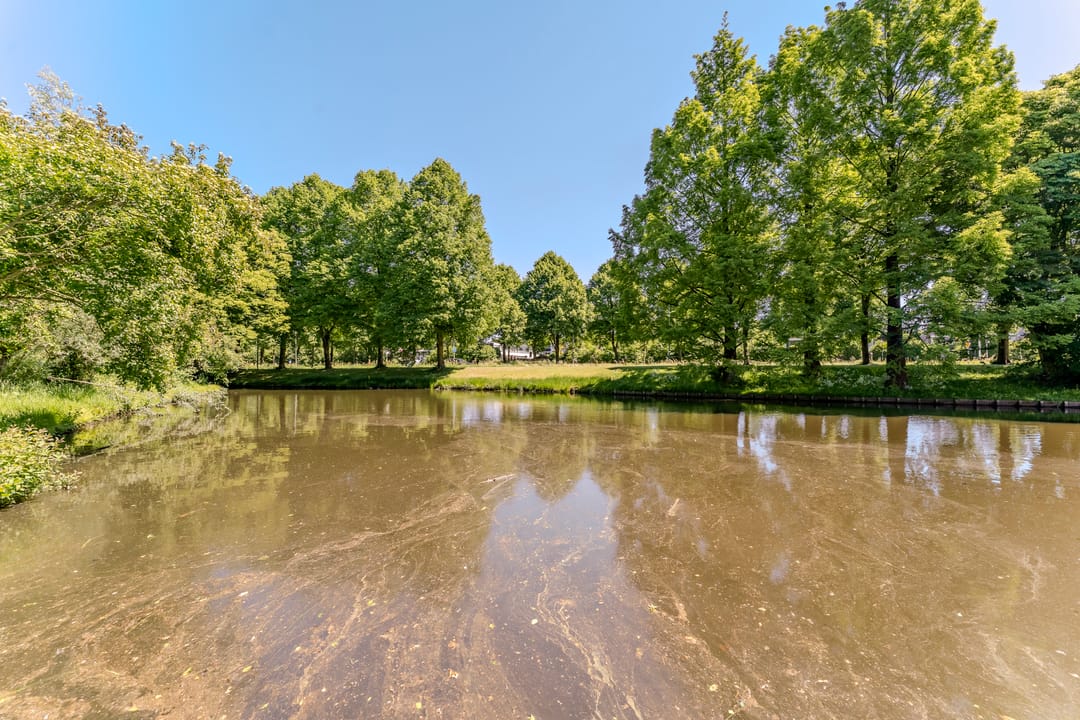 Photo 46 of Essex 19