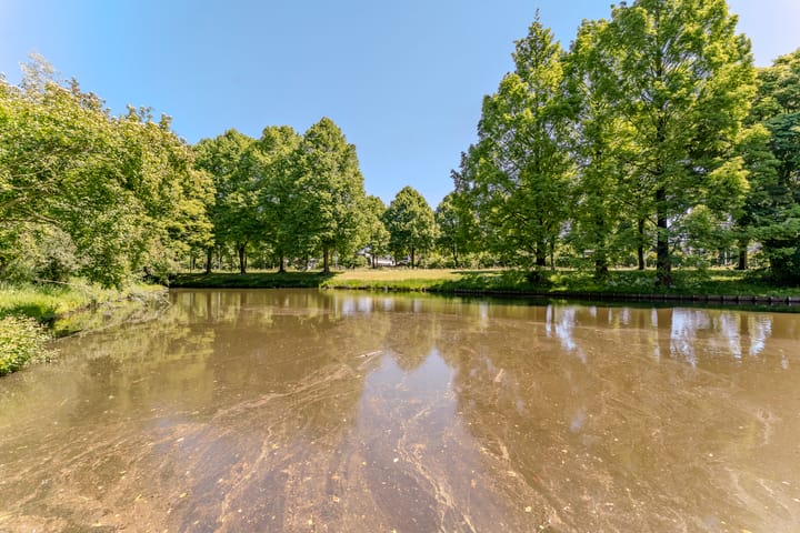 Foto 46 van Essex 19