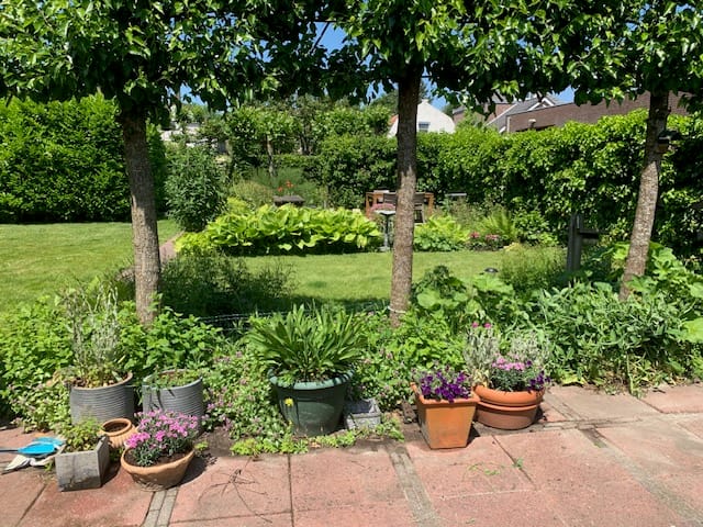 Foto 4 van Voorstraat 29