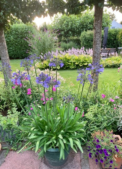 Foto 69 van Voorstraat 29