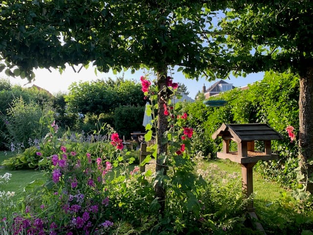 Foto 71 van Voorstraat 29