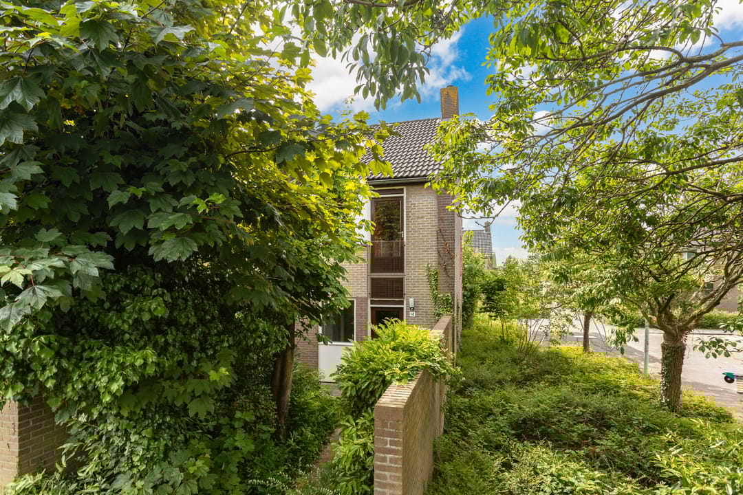 Foto 1 van Domela Nieuwenhuisstraat 14