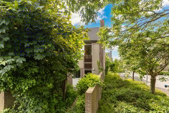 Foto 1 van Domela Nieuwenhuisstraat 14