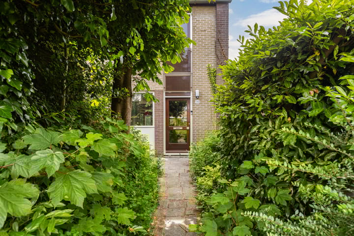 Foto 2 van Domela Nieuwenhuisstraat 14